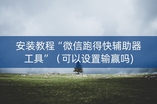 安装教程“微信跑得快辅助器工具”（可以设置输赢吗)