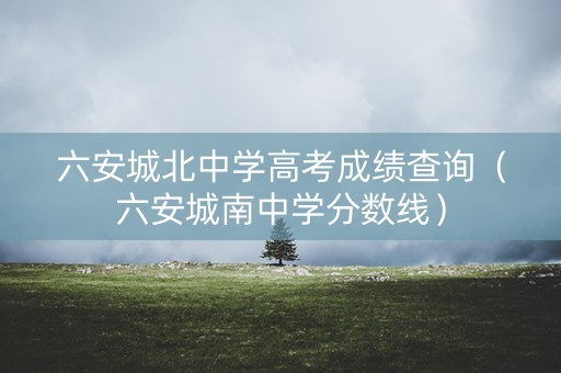 六安城北中学高考成绩查询（六安城南中学分数线）