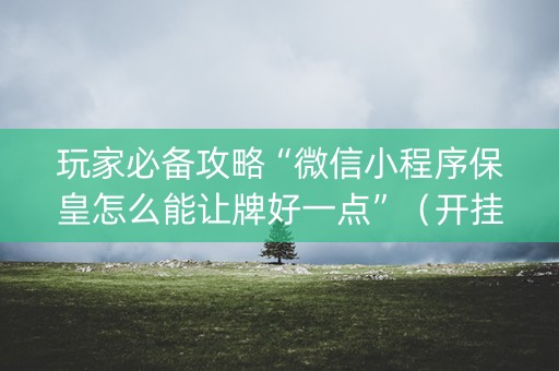 玩家必备攻略“微信小程序保皇怎么能让牌好一点”（开挂神器下载)
