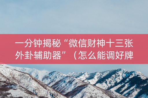 一分钟揭秘“微信财神十三张外卦辅助器”（怎么能调好牌)