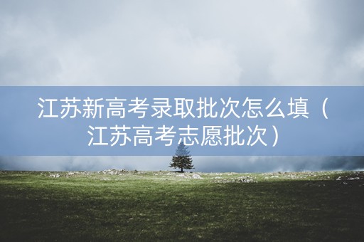 江苏新高考录取批次怎么填（江苏高考志愿批次）