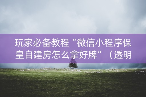 玩家必备教程“微信小程序保皇自建房怎么拿好牌”（透明挂辅助器)