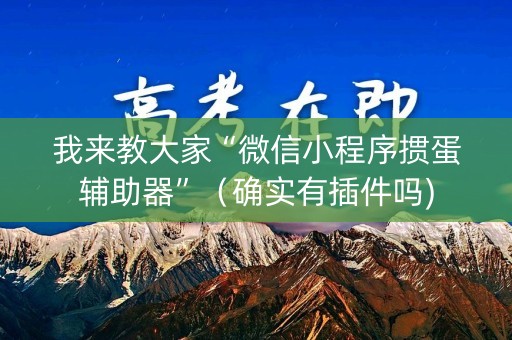 我来教大家“微信小程序掼蛋辅助器”（确实有插件吗)