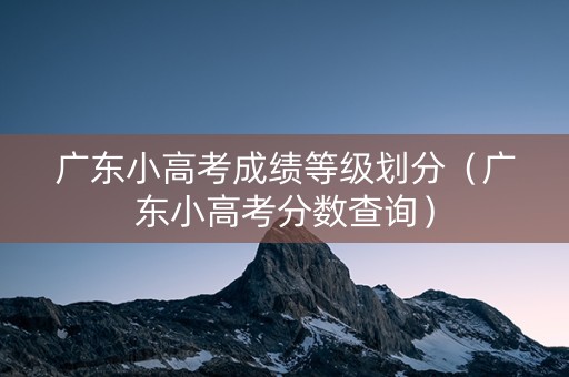 广东小高考成绩等级划分（广东小高考分数查询）