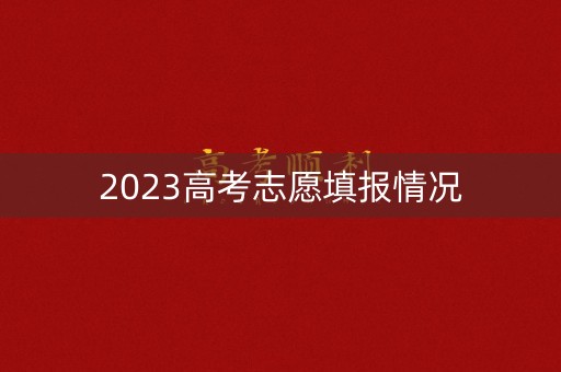 2023高考志愿填报情况