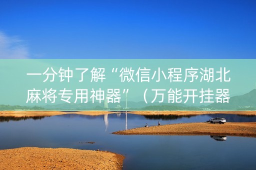 一分钟了解“微信小程序湖北麻将专用神器”（万能开挂器)