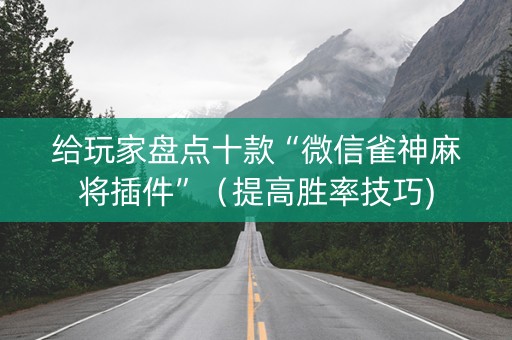给玩家盘点十款“微信雀神麻将插件”（提高胜率技巧)