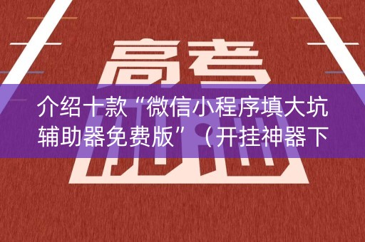 介绍十款“微信小程序填大坑辅助器免费版”（开挂神器下载)