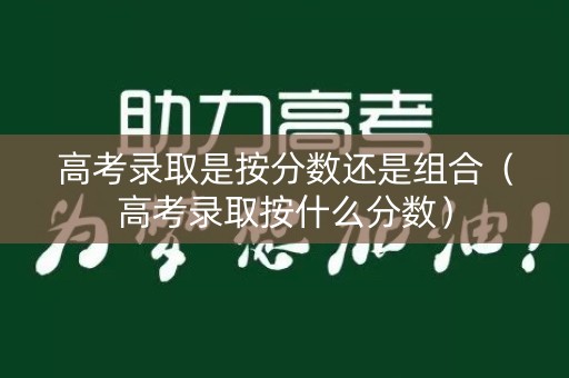 高考录取是按分数还是组合（高考录取按什么分数）