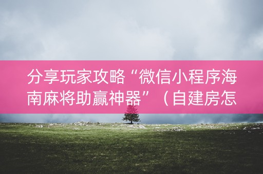 分享玩家攻略“微信小程序海南麻将助赢神器”（自建房怎么赢)
