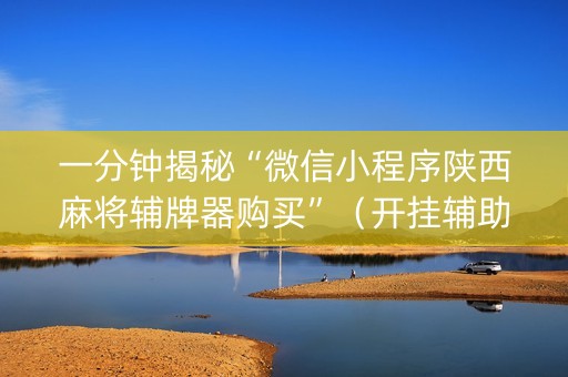 一分钟揭秘“微信小程序陕西麻将辅牌器购买”（开挂辅助器插件)