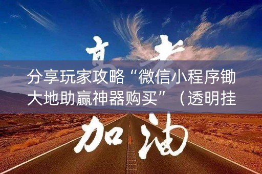 分享玩家攻略“微信小程序锄大地助赢神器购买”（透明挂辅助器)