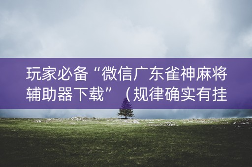 玩家必备“微信广东雀神麻将辅助器下载”（规律确实有挂)