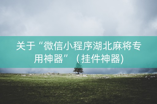 关于“微信小程序湖北麻将专用神器”（挂件神器)