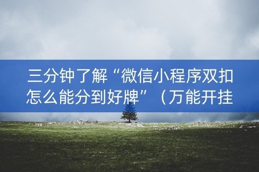 三分钟了解“微信小程序双扣怎么能分到好牌”（万能开挂器)
