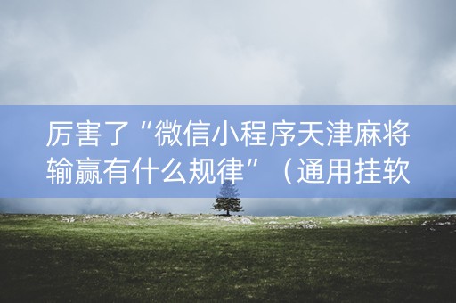 厉害了“微信小程序天津麻将输赢有什么规律”（通用挂软件多少钱)