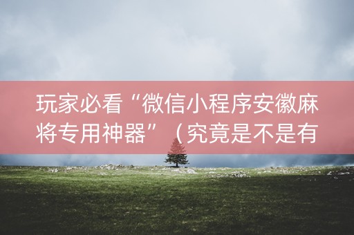 玩家必看“微信小程序安徽麻将专用神器”（究竟是不是有挂)