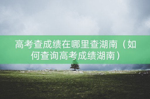 高考查成绩在哪里查湖南（如何查询高考成绩湖南）