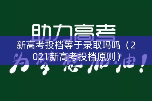 新高考投档等于录取吗吗（2021新高考投档原则）