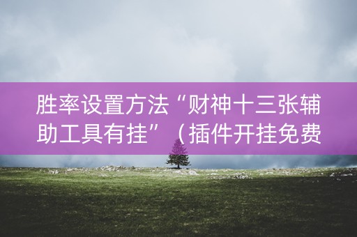 胜率设置方法“财神十三张辅助工具有挂”（插件开挂免费AI)