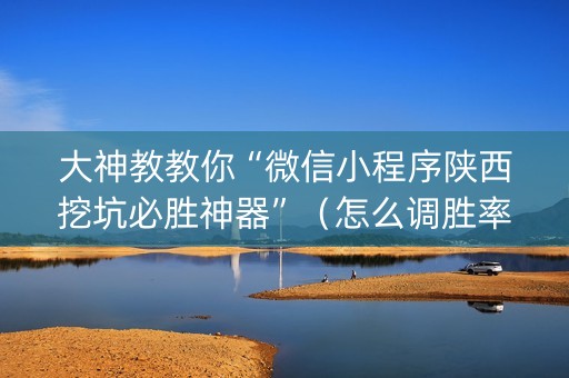 大神教教你“微信小程序陕西挖坑必胜神器”（怎么调胜率)