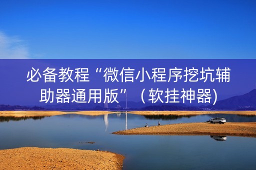 必备教程“微信小程序挖坑辅助器通用版”（软挂神器)