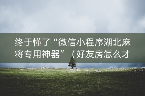 终于懂了“微信小程序湖北麻将专用神器”（好友房怎么才能赢)