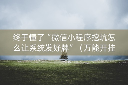 终于懂了“微信小程序挖坑怎么让系统发好牌”（万能开挂神器)