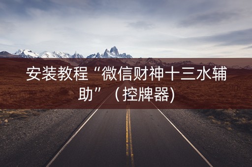 安装教程“微信财神十三水辅助”（控牌器)