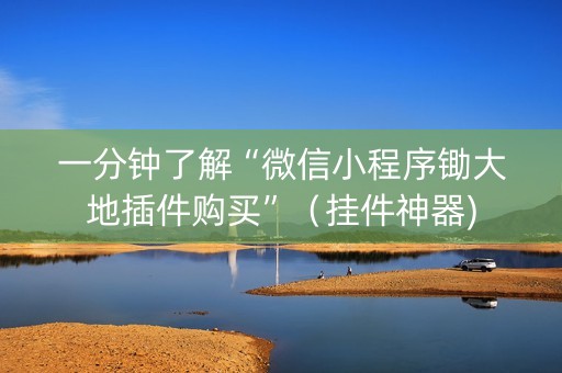 一分钟了解“微信小程序锄大地插件购买”（挂件神器)