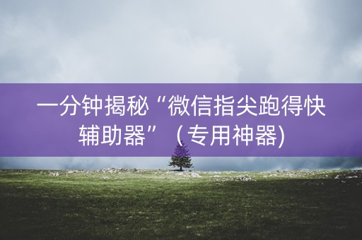 一分钟揭秘“微信指尖跑得快辅助器”（专用神器)