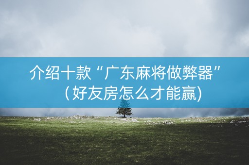 介绍十款“广东麻将做弊器”（好友房怎么才能赢)