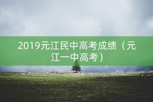 2019元江民中高考成绩（元江一中高考）