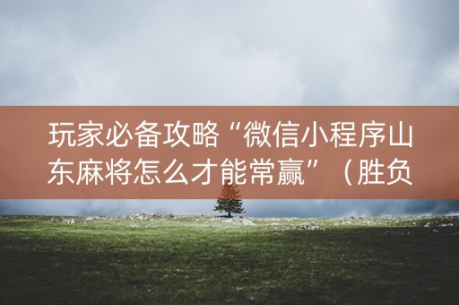 玩家必备攻略“微信小程序山东麻将怎么才能常赢”（胜负规律拿好牌)