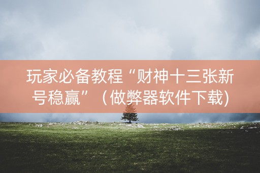 玩家必备教程“财神十三张新号稳赢”（做弊器软件下载)