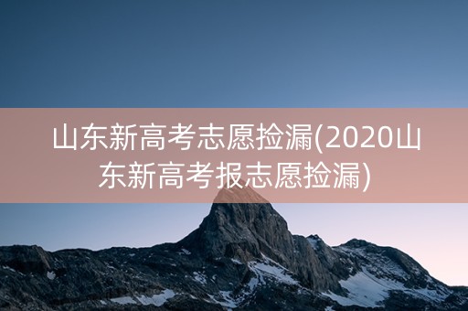 山东新高考志愿捡漏(2020山东新高考报志愿捡漏)