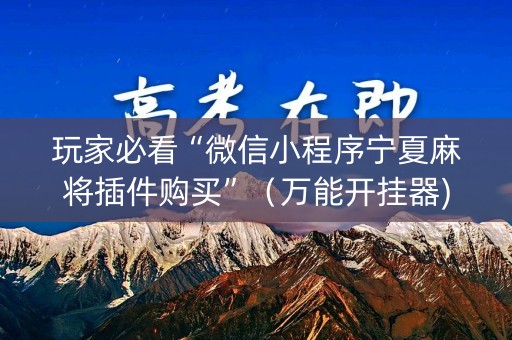 玩家必看“微信小程序宁夏麻将插件购买”（万能开挂器)