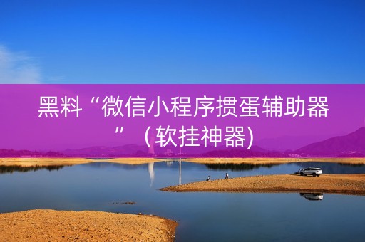 黑料“微信小程序掼蛋辅助器”（软挂神器)