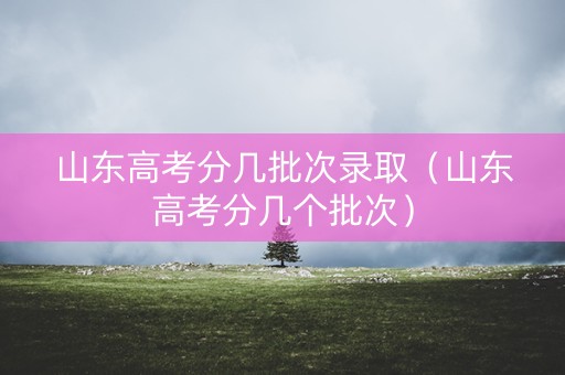 山东高考分几批次录取（山东高考分几个批次）
