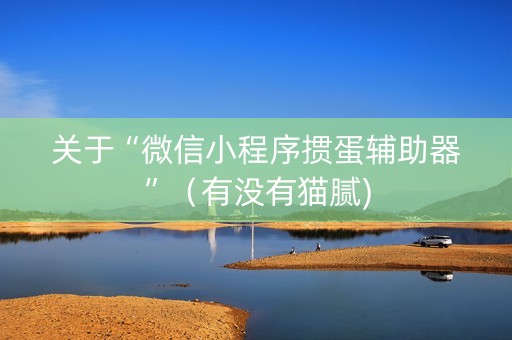 关于“微信小程序掼蛋辅助器”（有没有猫腻)