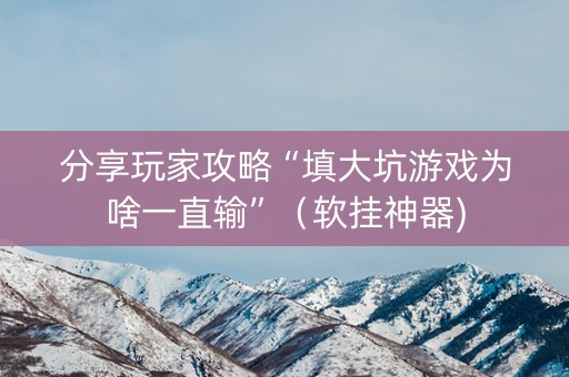 分享玩家攻略“填大坑游戏为啥一直输”（软挂神器)