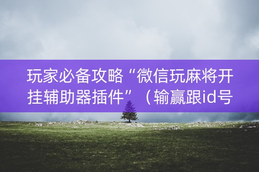 玩家必备攻略“微信玩麻将开挂辅助器插件”（输赢跟id号有关系吗)
