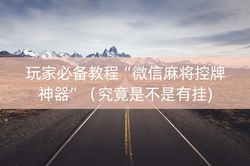 玩家必备教程“微信麻将控牌神器”（究竟是不是有挂)