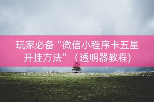 玩家必备“微信小程序卡五星开挂方法”（透明器教程)