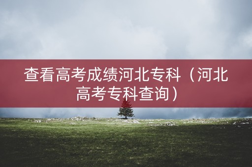 查看高考成绩河北专科（河北高考专科查询）