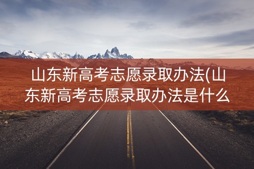 山东新高考志愿录取办法(山东新高考志愿录取办法是什么)