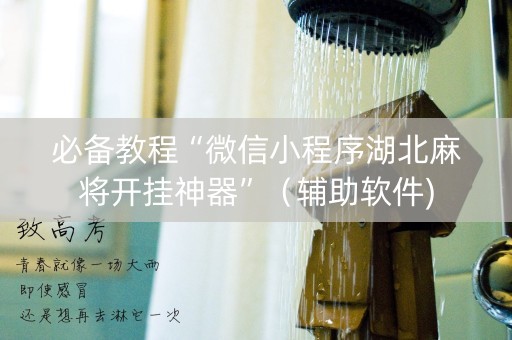必备教程“微信小程序湖北麻将开挂神器”（辅助软件)