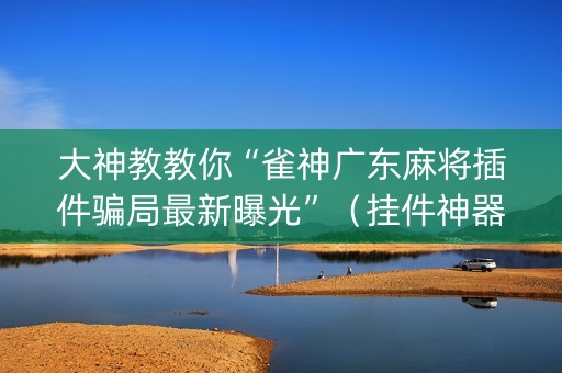 大神教教你“雀神广东麻将插件骗局最新曝光”（挂件神器)