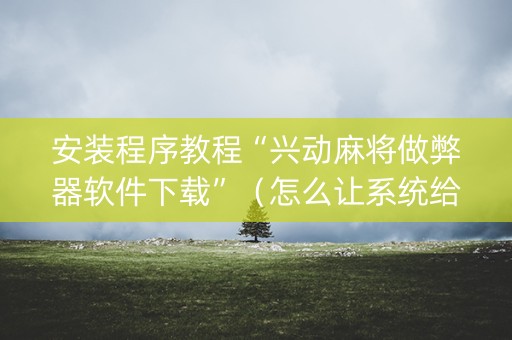 安装程序教程“兴动麻将做弊器软件下载”（怎么让系统给你发好牌)