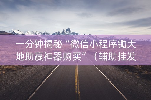 一分钟揭秘“微信小程序锄大地助赢神器购买”（辅助挂发牌规律)